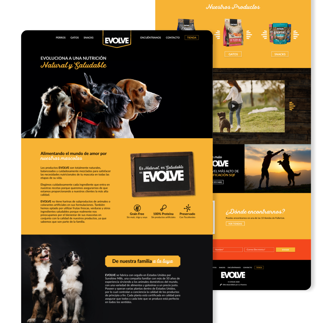 Evolve Chile — captura del proyecto